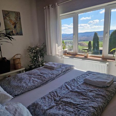 Panorama Apartman Pilisszanto Daire Dış mekan fotoğraf